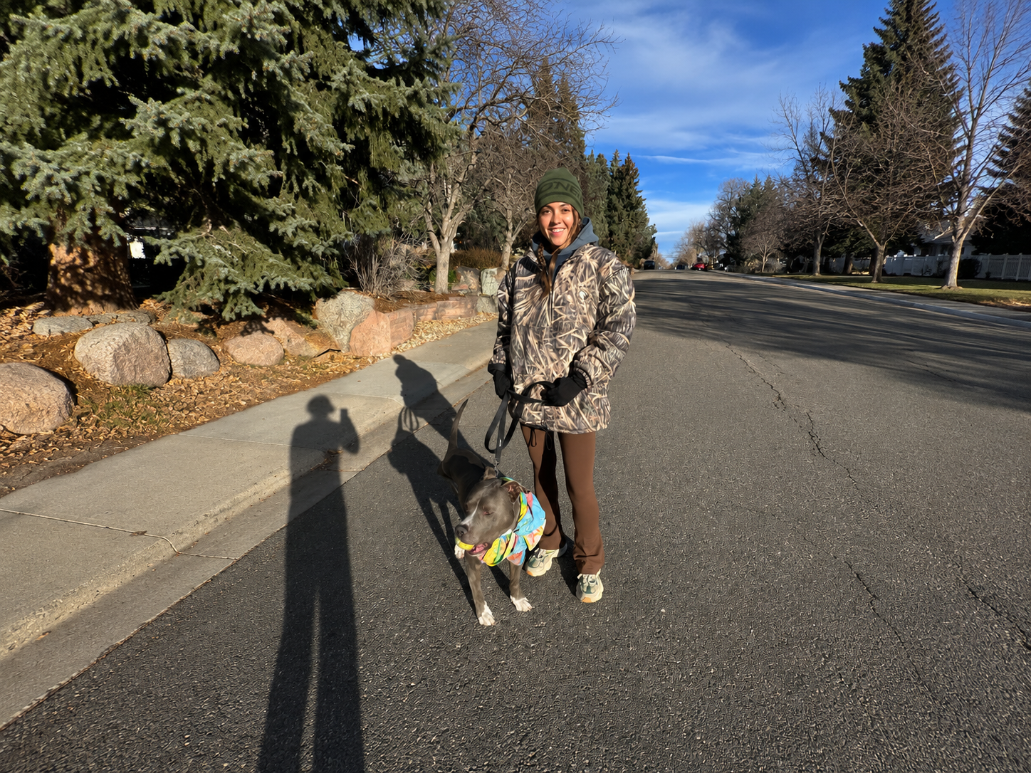 Dog Walking Boulder