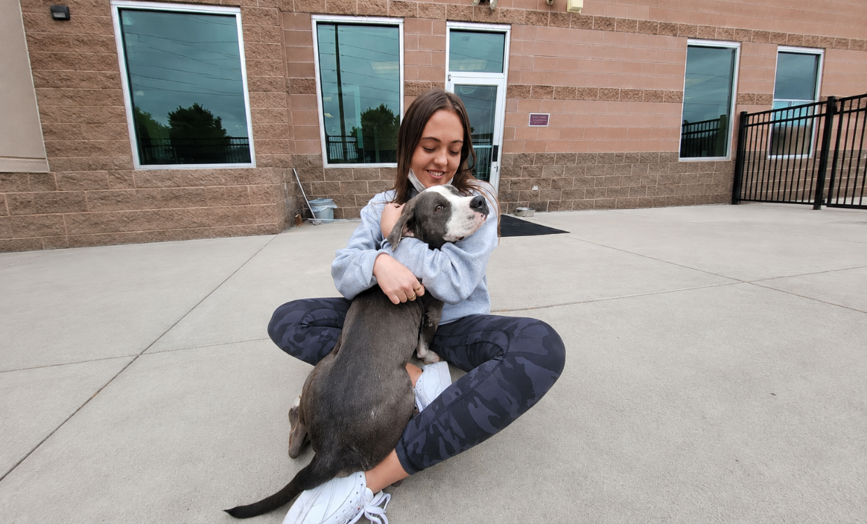 Dog Boarding in Boulder