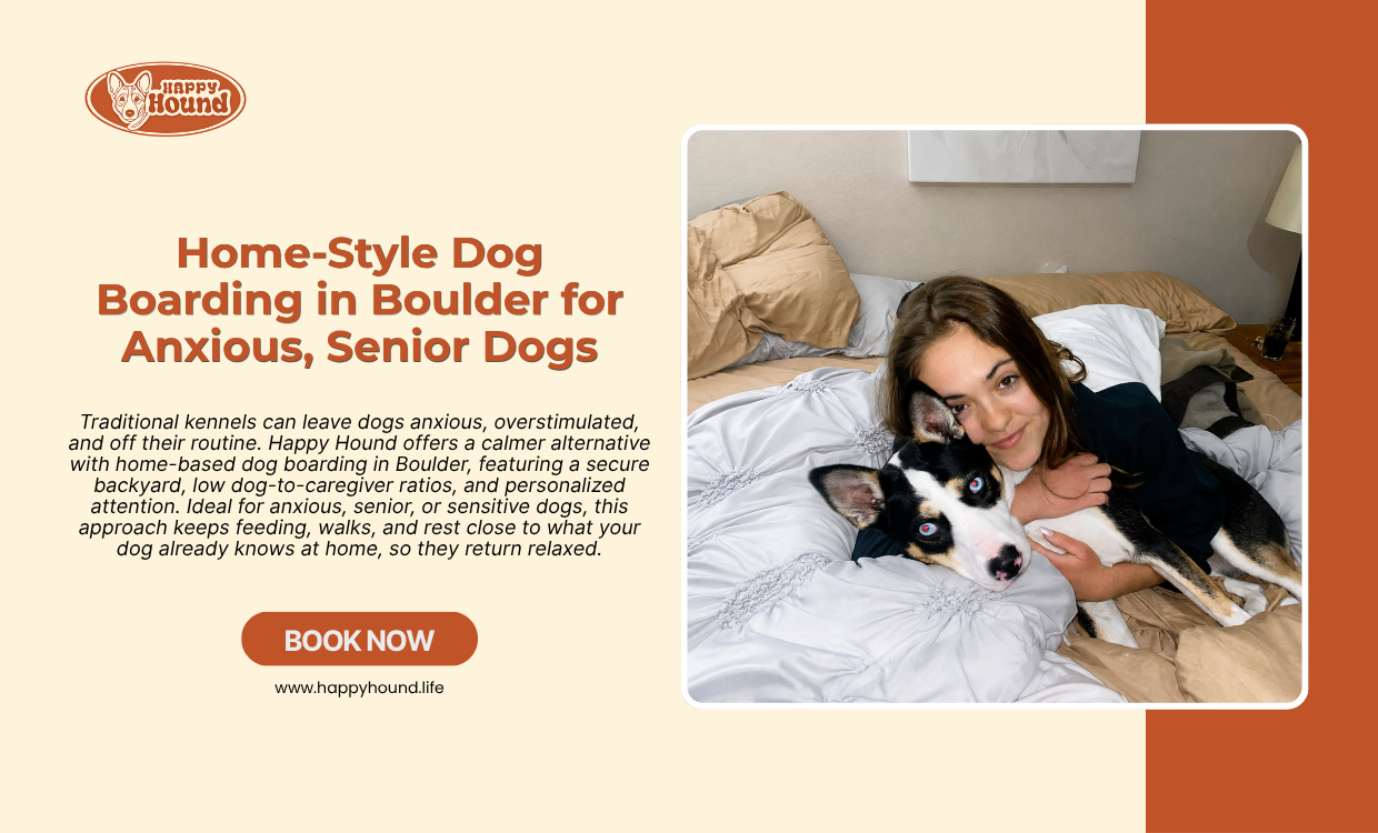 Dog Boarding in Boulder