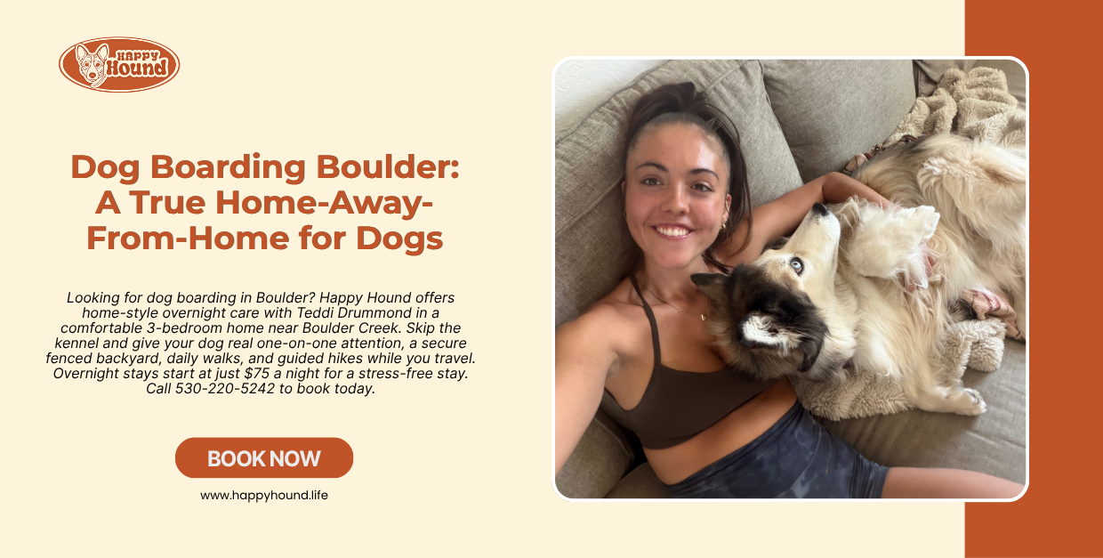 Dog Boarding Boulder
