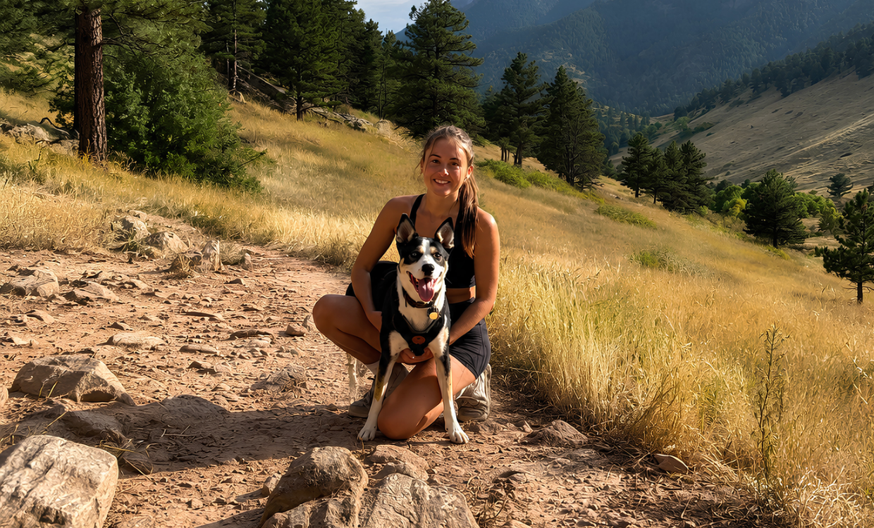 Dog Walker in Boulder