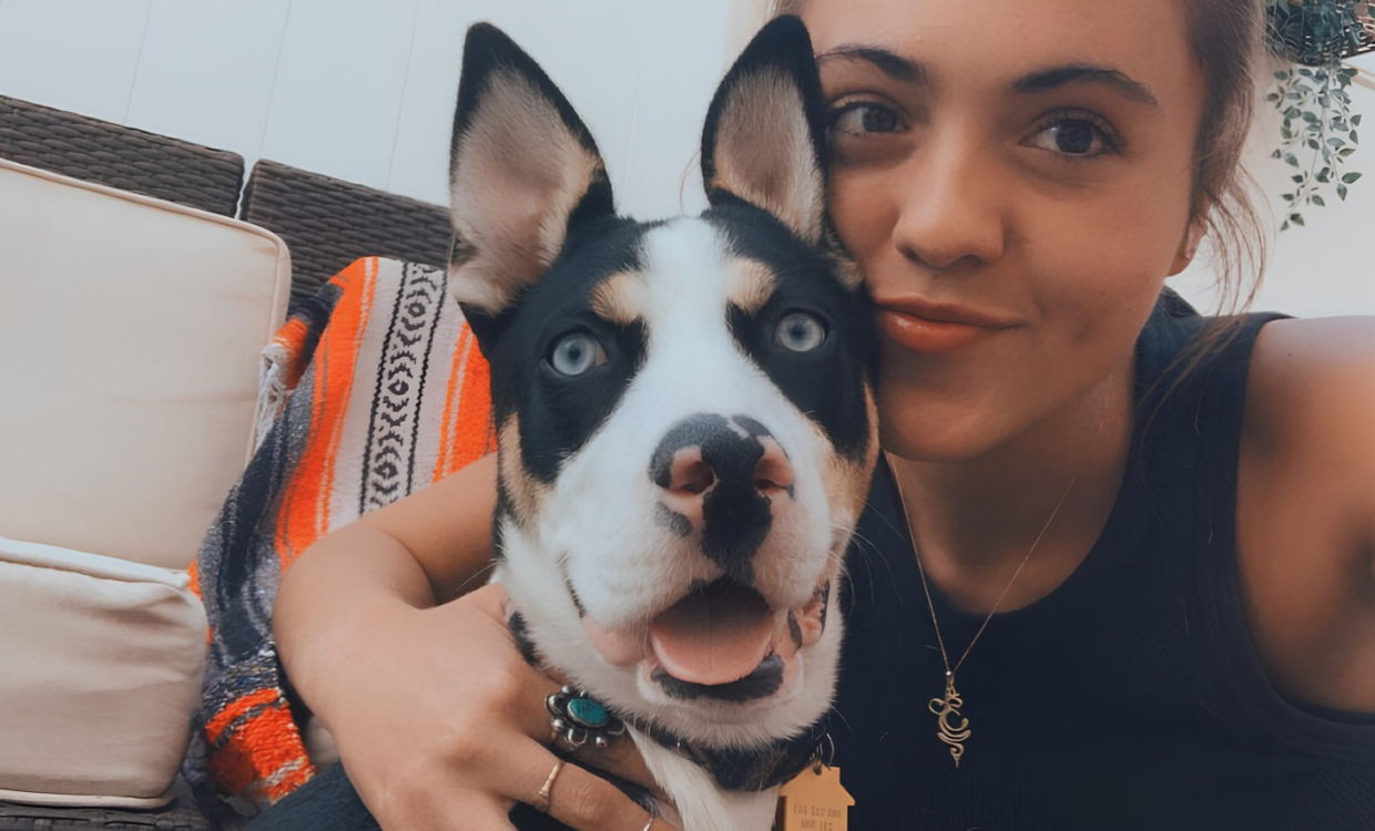Pet Sitting Boulder