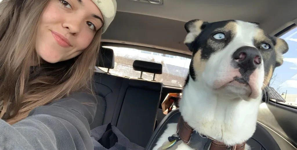 Dog sitter in Boulder, CO calmly greeting an anxious dog during a low-pressure first meeting